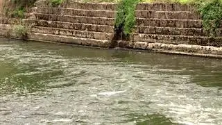 River Free HD Video Background