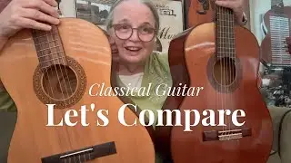 Which Guitar Do You Prefer?  Takamine Vs Sunlite Classical ** Under $200 #guitar