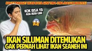 IKAN SILUMAN DITEMUKAN! GAK PERNAH LIHAT IKAN SEANEH INI! KAGET TIBA-TIBA ARWANA INI MASUK KONTES!