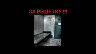 🆘🆘🆘МЫ ПРОТИВ УСЫПЛЕНИЯ ЖИВОТНЫХ 🆘🆘🆘🙏🙏🙏
