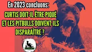 Curtis doit-il être piqué et les pitbulls doivent-ils disparaître ? ( Affaire Pilarski )