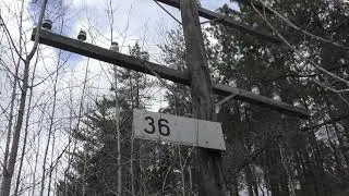 CP North Bay sub mile 39 to mile 29