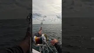 The biggest fish of my life!