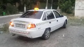 Коля Боря