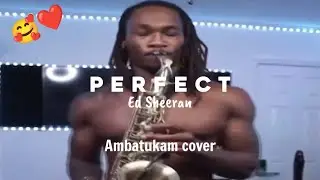 Perfect Ed Sheeran - AMBATUKAM COVER (MEME)
