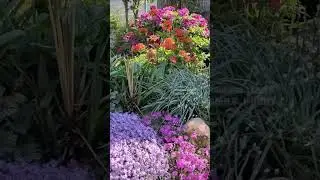 6 мая 🌞 в нашем саду