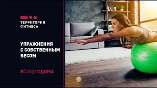 Тренировка с собственным весом (часть 1). ТФ Королёв