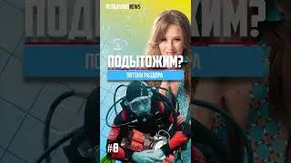 Подозреваемый в подрыве ‘Северных потоков’ бежал на Украину на авто украинского посольства #политика