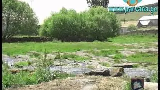 Ороджалар