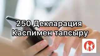 250 ДЕКЛАРАЦИЯ. КАСПИ мен тапсыру.