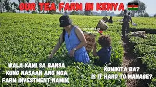NAGPAANI AT NAGBENTA KAMI NG TEA NAMIN SA KENYA WHILE ON VACATION 🇰🇪 || Our life as a land owner 🔥❤️