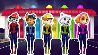 Learn Colors With Paw Patrol Spiderman | Learn Colors Collection Video For Kids
