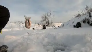 Хариус под Новый Год.