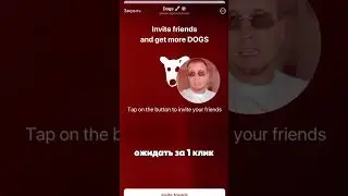 Ты пропустил самый простой эирдроп😱 подпишись, чтобы больше не пропустить😉