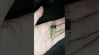 My Greenschist pendant from Treska River