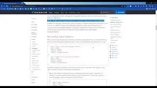 Python Debugging in VS Code
