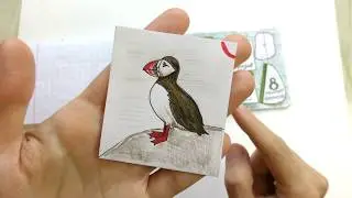 Сюрприз с птичкой - Видео из 