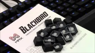 Max Keyboard Blackbird Tenkeyless (TKL) Backlit Mechanical Keyboard