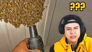 NEVER ANGRY THE BEES...
