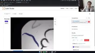 Setup a High Content Screening Imaging Platform with Label Studio