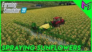 Taking care of Crops! FS22 Timelapse Farewell Tour