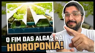 Eliminando o lodo da Hidroponia no cano pvc (Batista - MA)