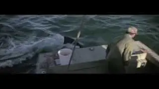 Hooper Bait