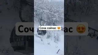 В этом году много снега на красной поляне ( видео из телеги love_sochi )