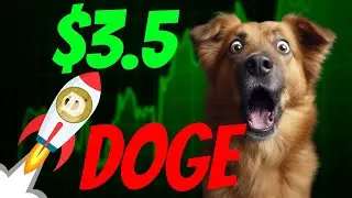 Dogecoin & Elon Musk: The Truth Behind the Hype! 🚀