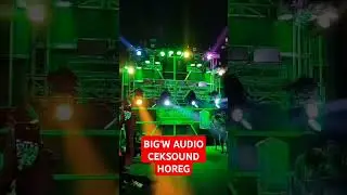 BIG'W AUDIO CEKSOUND HOREG#shors #sound #ceksoundkarnaval #ceksaund #horeg #ceksoundhoreg