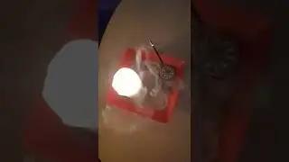 Мои ценности - основа моей жизни
