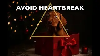 Before You Adopt: Use This Framework