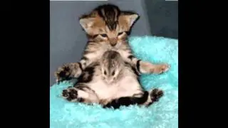 анимационное видео часть 3