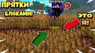 ПРЯТКИ БЛОКАМИ! Убежал от охотника!