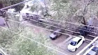 MOV01983