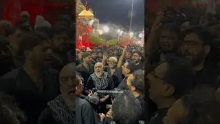 Ansar Party And Mir Hassan Mir Noha Sham e Gareebah Karbala#shia #karabala #mirhasanmir #ansarparty
