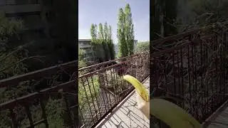 супер банан 🍌