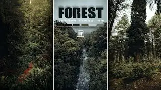 How to edit FOREST presets tutorial ( LIGHTROOM FOREST PRESETS ) Free DOWNLOAD