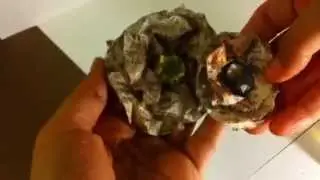 Grunge Flowers~Tutorial!!