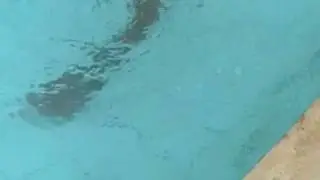 Julito nadando pelado!!hauAH