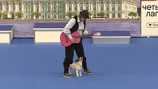 Танцы с собаками, Спб