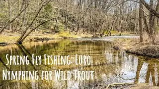 Early Spring Fly Fishing: Euro Nymphing for Wild Trout!
