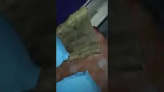 Кулиева Рыскулова автобус страшный обман