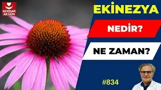 834. Ekinezya, Faydaları, Sağlık, Prof.Dr.Serdar Akgün, Aktüel Sağlık