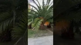 Жизнь в Сочи!💕