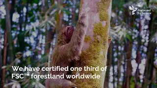 Choose wood from legal and responsible sources
