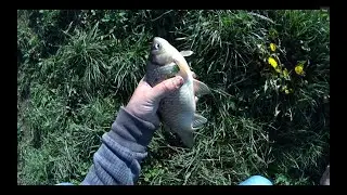 Super partida de pescuit la pluta! Am prins un carasoi de fund...😄