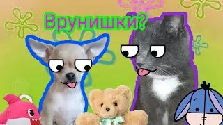 Врунишки или нет?? Нас подставили!!