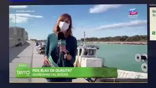 Apunt en el puerto pesquero de Guardamar