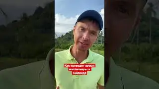 Миллионеры отрываются так как хотят.